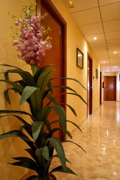 Hotel Mont-Roig Екстериор снимка